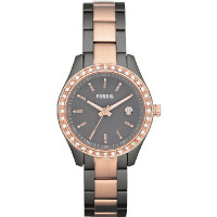 ราคาFossil ES3032