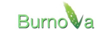 Burnova