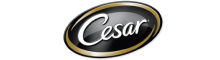 Cesar