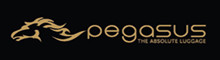 Pegasus Luggage