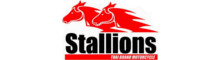 Stallions