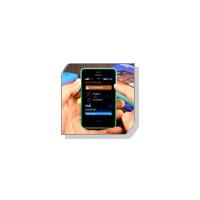 Nokia Asha 501 (Fastlane)