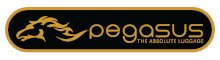 Pegasus luggage
