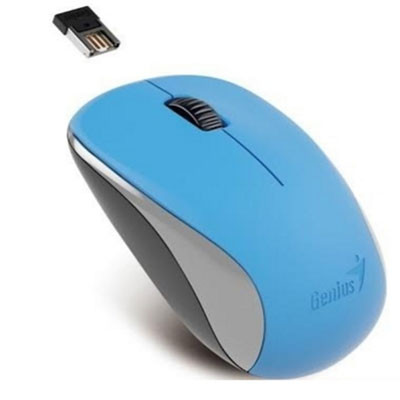 Genius Wireless Optical Mouse รุ่น NX-7005