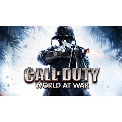 Call of Duty: World at War - PC Game