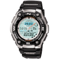 ราคา Casio Outgear AQW-101-1AV