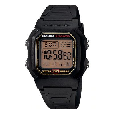 Casio standard 10 Year Battery W-800HG-9AVDF