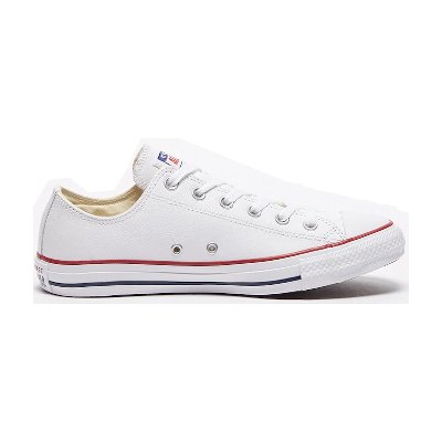 Converse Chuck Taylor All Star Low Top Lifestyle Shoes