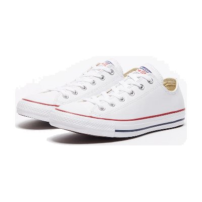 Converse Chuck Taylor All Star Low Top Lifestyle Shoes