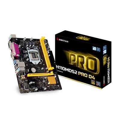 Biostar Motherboard H110MDS2 PRO D4