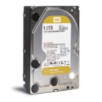 ราคา Western Digital WD Gold Datacenter Hard Drive 1TB รุ่น WD1005FBYZ