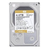 ราคา Western Digital WD Gold Datacenter Hard Drive 4TB รุ่น WD4002FYYZ