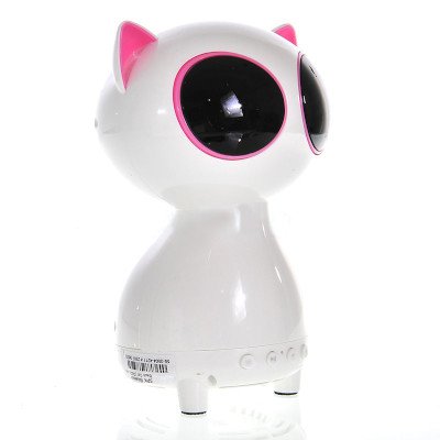 Coolpow Bluetooth Speaker รุ่น G6000