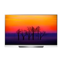 ราคา LG E8 OLED AI ThinQ 4K TV ขนาด 65 นิ้ว รุ่น OLED65E8PTA
