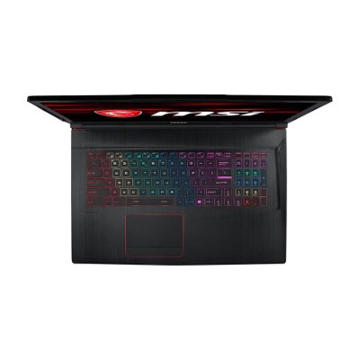 MSI Notebook GE73 8RF-222TH Raider RGB
