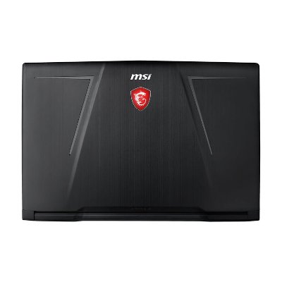 MSI Notebook GE73 8RF-222TH Raider RGB