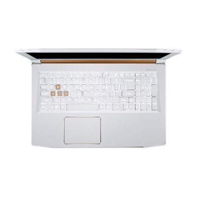 Acer Predator Helios 300 Notebook PH315-51-720U