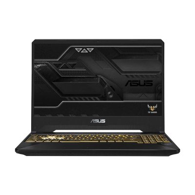 Asus TUF Gaming Notebook FX505GM-BQ163T