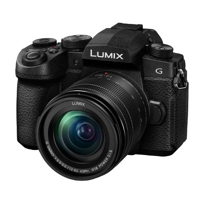 Panasonic Lumix DC-G95 Mirrorless Digital Camera
