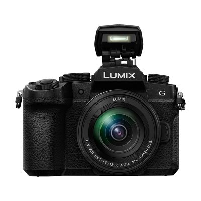 Panasonic Lumix DC-G95 Mirrorless Digital Camera