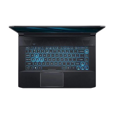 Acer Predator Triton 500 Notebook PT515-51-502R