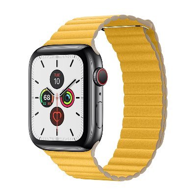 Apple Watch Series 5 Stainless Steel Case GPS + Cellular 44mm