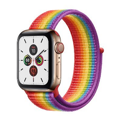 Apple Watch Series 5 Stainless Steel Case GPS + Cellular 44mm