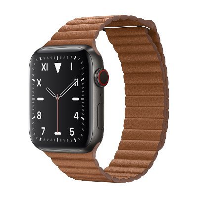 Apple Watch Edition Series 5 Titanium Case GPS + Cellular 44mm