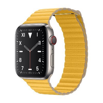 Apple Watch Edition Series 5 Titanium Case GPS + Cellular 44mm