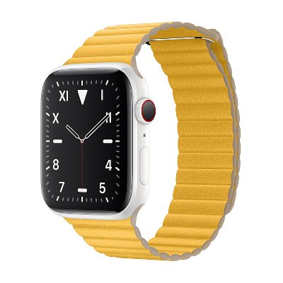 Apple Watch Edition Series 5 Ceramic Case GPS + Cellular 40mm
