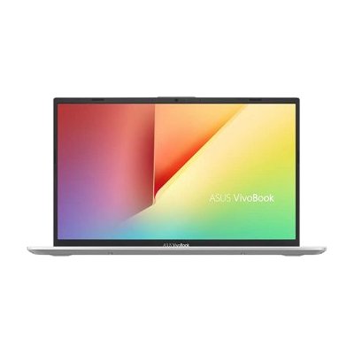 Asus VivoBook 14 Notebook X412DA-EK336T