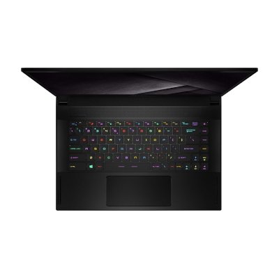 MSI Notebook GS66 Stealth 10SE-228TH