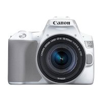 ราคา Canon EOS 250D DSLR Camera