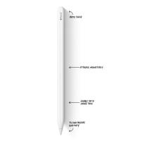 Apple Pencil (2nd generation)