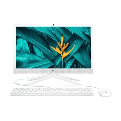 HP All-in-One Bundle PC 20.7-Inch 21-b0108d 22U42AA