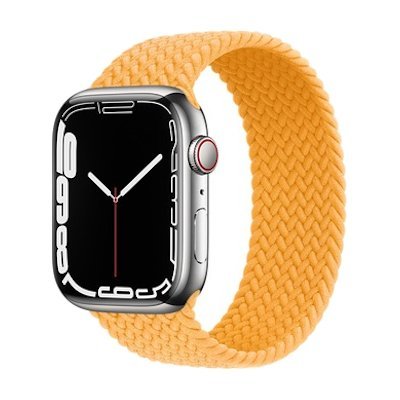 Apple Watch Series 7 Stainless Steel Case GPS + Cellular 45mm