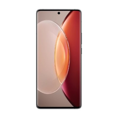 Vivo X90 Pro 256GB