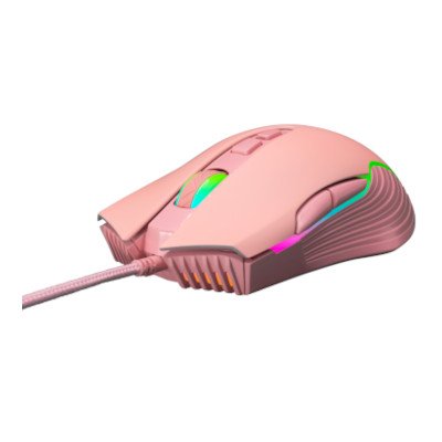 EGA RGB Gaming Mouse เมาส์เกมมิ่ง รุ่น Type M5