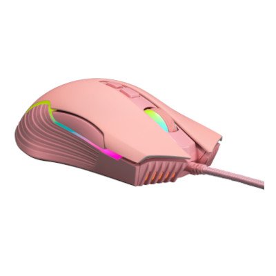 EGA RGB Gaming Mouse เมาส์เกมมิ่ง รุ่น Type M5