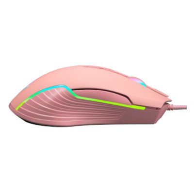 EGA RGB Gaming Mouse เมาส์เกมมิ่ง รุ่น Type M5