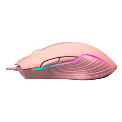EGA RGB Gaming Mouse เมาส์เกมมิ่ง รุ่น Type M5