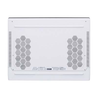 Dell Alienware X15 R2 Gaming Notebook W569311003TH