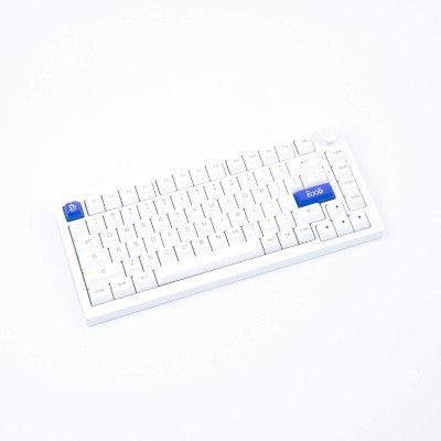 Akko Wireless Mechanical Keyboard คีย์บอร์ดไร้สาย รุ่น 5075B Plus