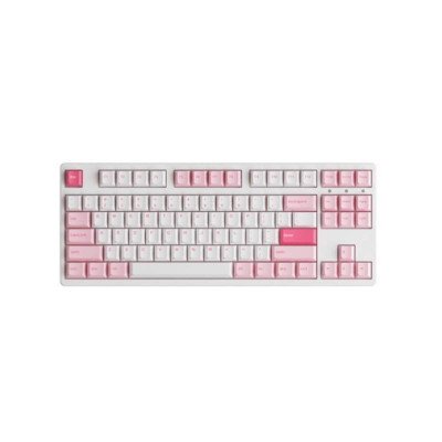 Akko Mechanical Keyboard คีย์บอร์ด รุ่น 3087 Plus