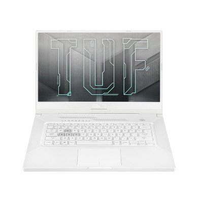 Asus TUF Gaming Dash F15 Notebook FX516PM-HN191T
