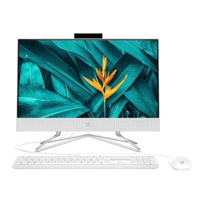 HP All In One Computer 24-df1023d
