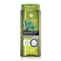 ราคา Yves Rocher BHC V2 Anti Hair Loss Shampoo 300ml อีฟ โรเช แอนตี้ แฮร์ ลอส แชมพู 300 มล สูตรลดผมร่วง