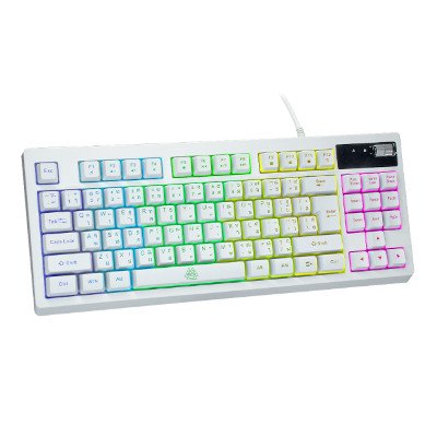 EGA Gaming Keyboard คีย์บอร์ดเกมมิ่ง รุ่น Type K6 TKL