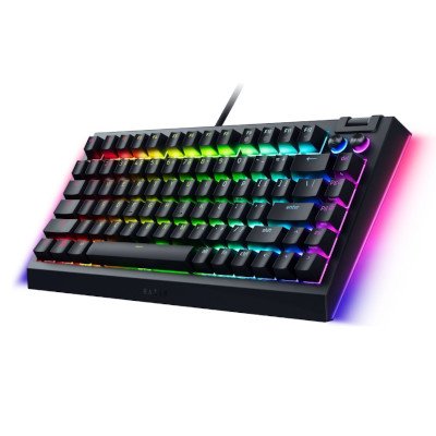 Razer Mechanical Gaming Keyboard คีย์บอร์ดเกมมิ่ง รุ่น BlackWidow V4