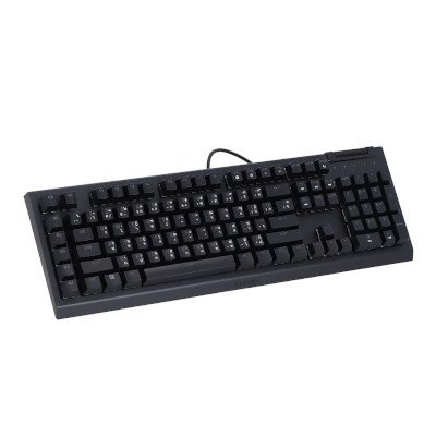 Razer Mechanical Gaming Keyboard คีย์บอร์ดเกมมิ่ง รุ่น BlackWidow V4 X